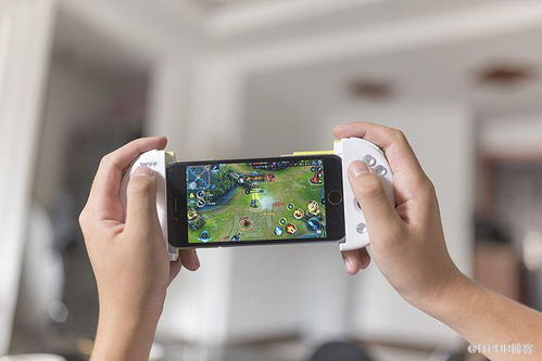 电竞陪玩app定制开发业务是怎样满足市场需求的