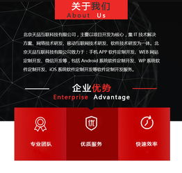 北京app开发定制,天品互联科技