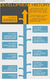 发展历程 重庆网络公司 网站设计 网站制作 网站建设 办公系统 erp 网站推广 电子商务一条龙服务 一九互联