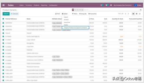 成熟稳定的免费开源跨境电商ERP系统解决方案 开发与应用定制指南