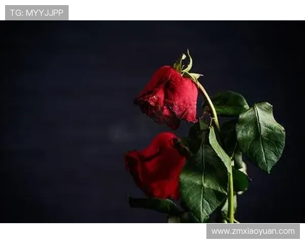 寻访“花坏”的秘密：当浪漫与破碎共舞，绽放别样铿锵