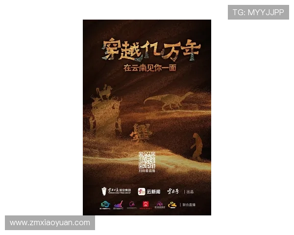 浮游目击者：穿越时空的微光，见证无声的诗篇