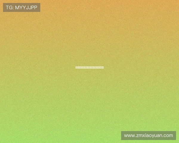 《美国之声》第四季：星光璀璨，梦想启航